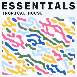 VA - Tropical House Essentials (2021) Mp3 320kbps [PMEDIA] ⭐️