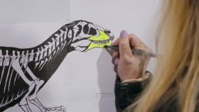 Dino Hunters S01E05 We Got Skull 720p HEVC x265-MeGusta [eztv]