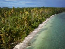 Primal Survivor S03E01 Trial By Ocean 480p x264-mSD [eztv]