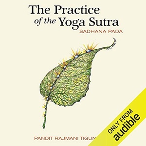 The Practice of the Yoga Sutra: Sadhana Pada - Pandit Rajmani Tigunait PhD