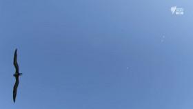 Brazil A Natural History S01E04 720p HDTV x264-CBFM [eztv]