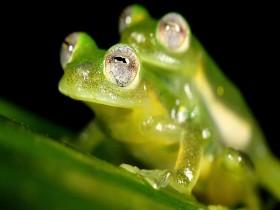 Sex Explained S01E02 WEB X264-STARZ [eztv]