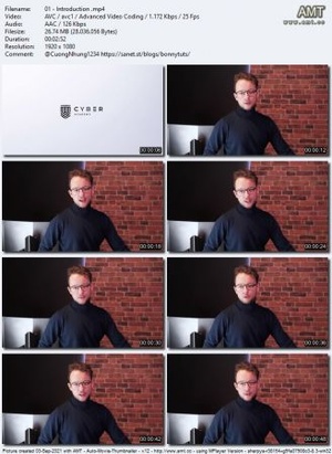 Software Security Testing