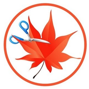 Easy Cut Studio 5.014 (x64) + Crack [Softhound]