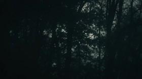 Hometown Horror S01E06 Satanic Swamp WEBRip x264-CAFFEiNE [eztv]