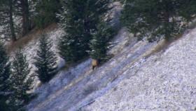 MeatEater S07E08 720p WEB x264-CRiMSON [eztv]