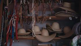 Vice Investigates S01E03 WEB h264-TBS [eztv]