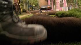 Garden Rescue S04E08 Milton Keynes 720p iP WEB-DL AAC2 0 H 264-SOIL [eztv]