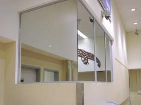 Border Patrol S12E05 480p x264-mSD [eztv]