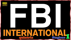 FBI.International.S01E16.Un.Caro.Amico.DLMux.1080p.x264.AC3.ITA-ENG.Sub.ENG.by.quintrix