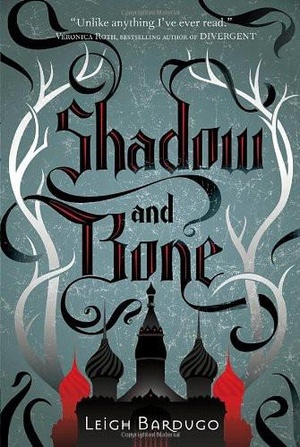 The Shadow and Bone Trilogy: Shadow and Bone, Siege and Storm, Ruin and Rising (Selective) PDF | EPUB