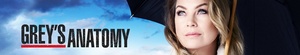 Greys.Anatomy.S19E17.Come.Fly.with.Me.720p.AMZN.WEBRip.DDP5.1.x264-NTb[TGx]