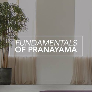 [ FreeCourseWeb ] Yoga International - Fundamentals of Pranayama