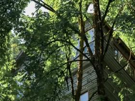 Evil Lives Here S06E03 Our Secret Identity 480p x264-mSD [eztv]