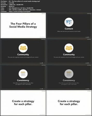 [ FreeCourseWeb ] Lynda - Social Media Marketing- ROI (2019)