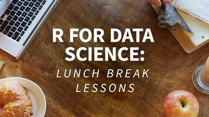 [ FreeCourseWeb ] Lynda - R for Data Science- Lunchbreak Lessons (Updated 4-17-2019)