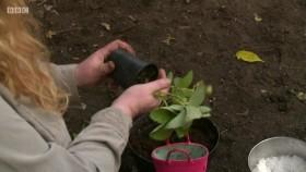 Garden Rescue S03E06 Clapham 720p WEB x264 SOIL eztv