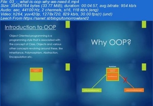 [ DevCourseWeb ] Skillshare - Object Oriented Programming (OOP) in Python 3 - with Examples