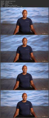 [ FreeCourseWeb ] Lynda - Mindful Leadership