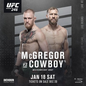 UFC.246.HDTV.x264-VERUM
