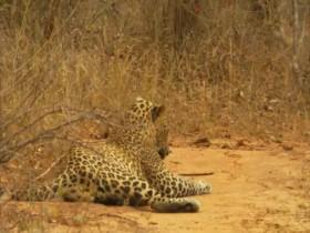 Earth Odyssey with Dylan Dreyer S01E07 480p x264-mSD [eztv]