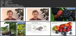 Udemy - Soft Fruit Gardening - Easy Growing Guide