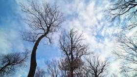 Stay or Sell S01E02 Families Grow Houses Shrink WEB x264-CAFFEiNE [eztv]