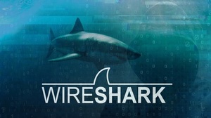 Udemy - Wireshark: Packet Analysis and Ethical Hacking: Core Skills
