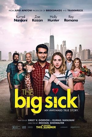 The Big Sick 2017 WEB DL x264 FGT rarbg