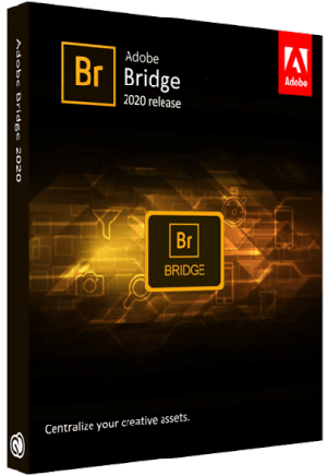 Adobe Bridge 2020 v10.1.1.166 (x64) Multilingual [johdrxrt]