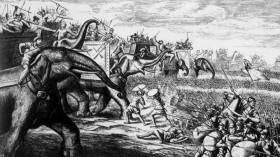 What On Earth S06E06 Terror of the Ice Snake WEB-DL x264-eSc [eztv]