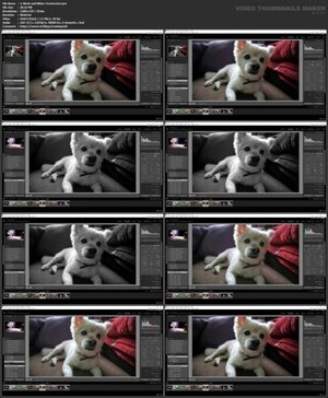 [ FreeCourseWeb ] Udemy - Essentials for Adobe Lightroom for Beginners