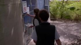 Inside Taronga Zoo S01E01 HDTV x264-FiHTV [eztv]