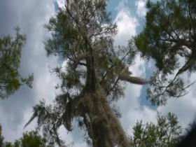 Moonshiners S08E11 Bootleggers Bounty REAL 480p x264-mSD [eztv]