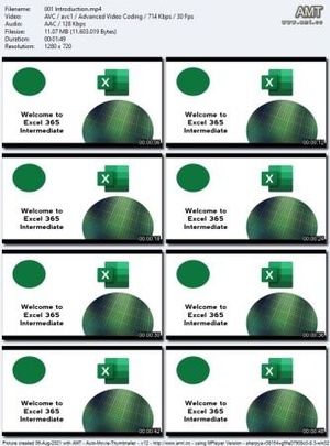 Excel Microsoft 365 Intermediate