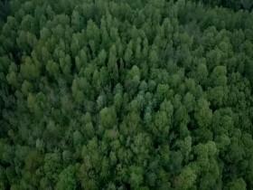 Unearthed 2016 S06E06 Hitlers Lost Bunker 480p x264-mSD [eztv]