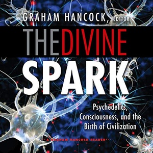 The Divine Spark - Graham Hancock (editor) - 2020 (Nonfiction) [Audiobook] (miok)