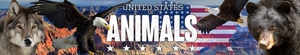 United.States.Of.Animals.S01.COMPLETE.720p.DSNP.WEBRip.x264-GalaxyTV
