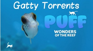 Puff.Wonders.of.the.Reef.2021.1080p.WEBRip.h264-Dual.YG⭐