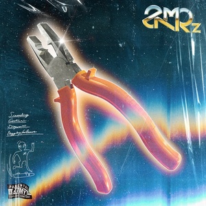 ZUTOMAYO - Nobi Shigusa Korite Itomagoi (2022) Mp3 320kbps [PMEDIA] ⭐️