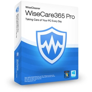 Wise Care 365 Pro 6.5.1.623 Multilingual [Neverb]