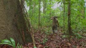 MeatEater S07E10 720p WEB x264-CRiMSON [eztv]