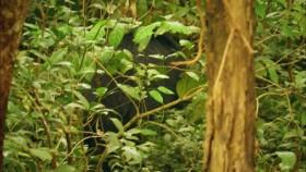 Earth Odyssey with Dylan Dreyer S01E01 WEB x264-CookieMonster [eztv]