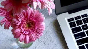 [ FreeCourseWeb ] Udemy - Meal Planning Made Easy