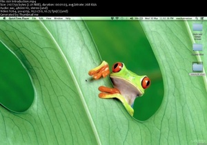 [ FreeCourseWeb ] Udemy - Mac Basics - Master your Mac & Learn MacOS X