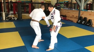 Martial Arts Mastery - Arm Drag Judo