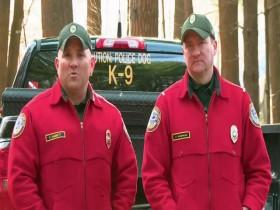 North Woods Law S14E00 Bill and Erics Excellent Adventures 480p x264-mSD [eztv]