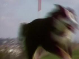 The Best Of Bad TV S02E01 80s 480p x264-mSD [eztv]