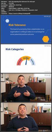 Linkedin - Business Analysis Foundations - Enterprise