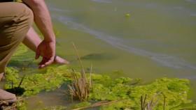 The Dude Perfect Show S02E04 Droning for the Future Giant Pizza 720p WEB x264-KOMPOST [eztv]